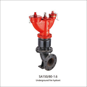 Premium-Qualität Duktiles Gusseisen Außen-Feuerlöschhydrant PN16 Druckklassifizierung Doppelauslass Hohe Durchflusskapazität für Kommunale Brandbekämpfung - Product Image 1