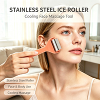 Rouleau de massage facial portable en acier inoxydable pour rafraîchir la peau, outil de soin de la peau à domicile