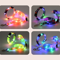 Collier lumineux LED pour chien de petite taille, haute visibilité, imperméable, réglable, clignotant et lumineux
