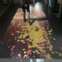 Juegos de Navidad Interactivos con Proyector de Piso Infrarrojo de Buena Calidad Directamente de Fábrica, el Mejor Software de Mapeo de Proyección Gratuito