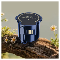 Diffuseur d'huiles essentielles portable avec brume chaude et technologie sans eau-Diffusion avancée pour l'aromathérapie à la maison, voiture et hôtel
