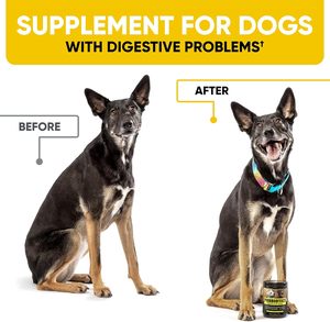 Probióticos para Perros OEM ODM de Marca Privada con Prebióticos, Promueve un Intestino Equilibrado, Refuerza la Salud Inmunológica, Masticables Blandos - Product Image 5