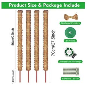 Palos de tutores de plantas para plantas trepadoras, palo de musgo de palma de coco - Product Image 2