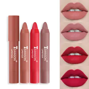 Neues Design matter Lippenstift feuchtigkeitsspendend einfach zu färben grenzüberschreitend ausschließlich rotierende Lippenstifte matter Lippenstift