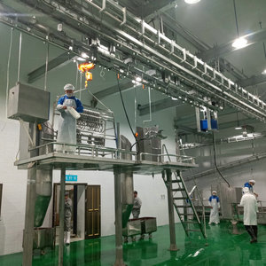 <span class=keywords><strong>Abattoir</strong></span> à bétail avec équipement d'abattage de bovins - Product Image 6