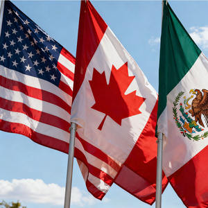 للبيع بالجملة شعار مخصص 90x من البوليستر لكأس العالم راية علم الولايات المتحدة كندا المكسيك قارية وطنية لكأس العالم - Product Image 2