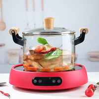 Marmite en verre OEM grande taille, résistante à la chaleur, en verre borosilicate transparent, ensemble de casseroles avec poignée en bois