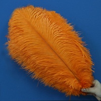 Plumes d'Autruche 40-45 cm En Gros, Colorées Blanches, Grandes Plumes pour Robes de Soirée et de Mariage, Décoration de Chapeau