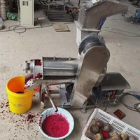 Machine électrique commerciale automatique d'extracteur de jus de carotte concombre tomate presse-agrumes pour les entreprises