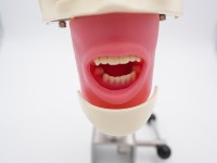 Unidad Dental con Cabeza de Simulación de Implantes, Sistema de Educación Dental Digital para Escuelas y Universidades Dentales