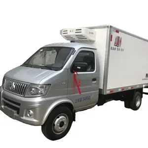 ChangAn 2ton benzinli soğuk hava tertibatlı kamyon küçük aşı taşıma kamyonu LHD euro 6 dondurucu kamyon