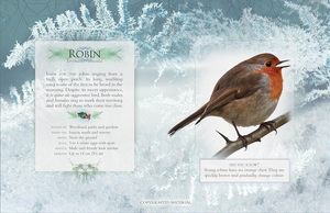 Nouveau design <span class=keywords><strong>Livre</strong></span> de carte son interactif à 12 boutons Chansons d'oiseaux audio éducatives précoces pour enfants imprimés - Product Image 4