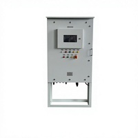 Gabinete de Distribución de Energía Industrial IP66 SS316L RAL7035, Caja Eléctrica de Diseño Personalizado, Equipo de Automatización con Certificación CE