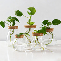 Pot en verre créatif pour la culture hydroponique de plantes aquatiques, pot à fleurs en verre avec couvercle en bois de liège, décoration intérieure