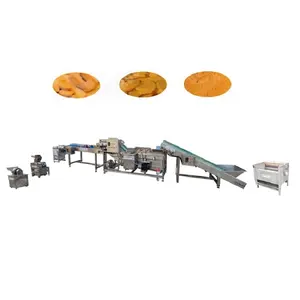 Customized Automatic Mesh Belt Ginger Onion Garlic Carrots Powder Grinding Processing Machine