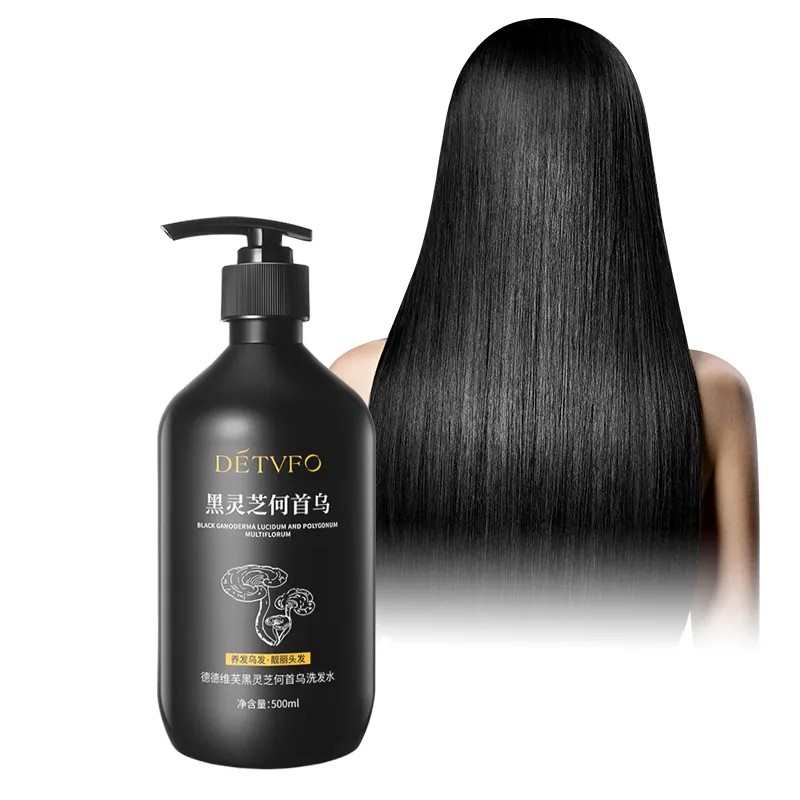 Venta al por mayor champú nutre el cuero cabelludo negro Reishi Polygonum Multiflorum Natural Anti pérdida de cabello negro champú para productos de crecimiento del cabello