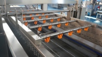 Geïntegreerde groentewas- en belletjesreinigingsmachine voor de behandeling van augurken en gedroogd fruit, met palmolie-aangedreven belletjesreiniging.
