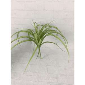 Planta Artificial Personalizada en Maceta Grande, Decoración de Pared Artificial, Artículos de Decoración para el Hogar, Bonsái Barato, Plantas Ornamentales para Dormitorio - Product Image 3