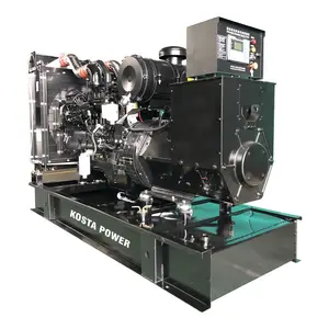 3 Phase Generator Manufacturer Moteur Alternateur Triphase 5 mw 10 mw 5 megawatt Diesel Generator