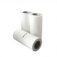 HyperTransprint Prix Usine Chine Film PET DTF A3 pour Transfert Thermique Lavable Ignifuge Décollement à Chaud Double Face Haute Qualité