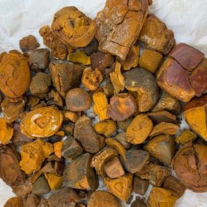 Niu Huang中国ハーブベゾア牛ガルスストーンスライス乾燥粉末スパイス生加工タイプさまざまな輸出 - Product Image 3