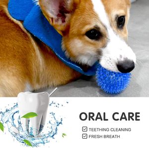 Jouets à mâcher pour chiots en TPR durable et luxueux, à picots et couineurs, pour la dentition - Jouet interactif pour le mouvement, 3 couleurs, 6,5 cm - Product Image 4