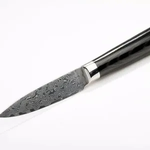 High End 67 Layers VG-10 Damascus Kitchen Fruit Knife Damascus Paring Knife With Micarta Handle