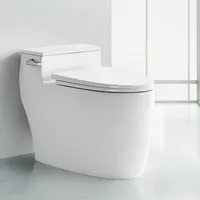 Vaso sanitário sifônico chinês moderno, alta qualidade, uma peça, commodo cerâmico wc, banheiro