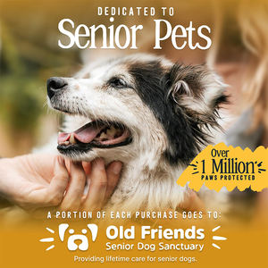 नए स्ट्रिप्ड बड़े कुत्ते पालतू जानवर वाटरप्रूफ लुभावनी पर्यावरण के अनुकूल रबर प्रिंट गैर पर्ची आधुनिक कुत्ते के जूते गर्मियों के मौसम कपास - Product Image 5