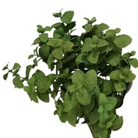 Daun Mint Plastik Buatan untuk Dekorasi Bunga, Dekorasi Lobi Hotel, Perlengkapan Fotografi, & Kerajinan Dinding Tanaman DIY