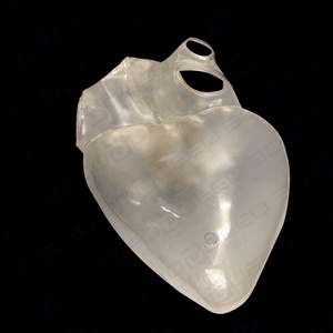 Impresión <span class=keywords><strong>3D</strong></span> modelo educativo médico Polyjet simulación de goma a todo color alta calidad transparente tamaño <span class=keywords><strong>real</strong></span> - Product Image 3