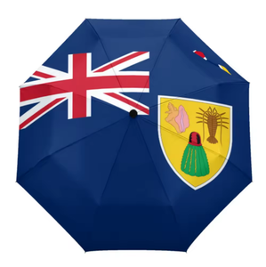 Parapluie pliable noir coupe-vent avec drapeau des Îles Vierges américaines, protection solaire, portable, <span class=keywords><strong>prix</strong></span> bas, vente en gros, panneau personnalisé - Product Image 5