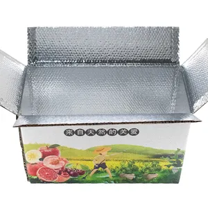 Dondurulmuş gıda kutuları meyve deniz ürünleri için ambalaj et kek Pizza karides tavuk balık ile özel karton yalıtımlı kutu klasörleri