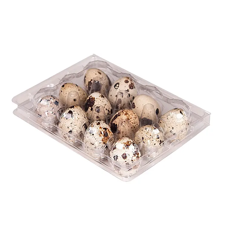 Customized Biodegradable Pet 12 holes quail package egg box plastic quail egg tray quail egg carton for sale