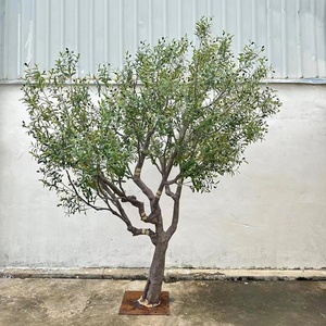Bonsai Artificiale Personalizzato in Fibra <span class=keywords><strong>di</strong></span> Vetro, <span class=keywords><strong>Pino</strong></span> Podocarpus <span class=keywords><strong>di</strong></span> Benvenuto, 200cm, Durevole, Ecologico, Aspetto Naturale, per Interni ed Esterni, Pianta per Hotel - Product Image 5