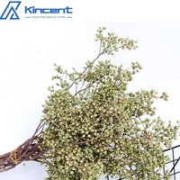Fleurs séchées Plantes Millet Fruit Fleur Couleur Naturelle Eucalyptus sec Bouquets de fleurs Fruit Ornement décoratif Arrangement