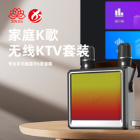 Altavoz de karaoke inalámbrico portátil Sistema Bluetooth de Micrófono dual para profesionales