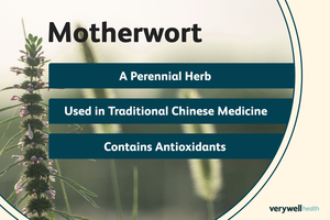 Vente en gros d'huile essentielle de Motherwort, huile de <span class=keywords><strong>Herba</strong></span> Leonuri 100% pur naturel extrait de plante de Leonurus Japonicus | Prix de gros 1kg - Product Image 2