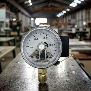 SPR Kostengünstiger 50mm Druckschalter-Messer, Radialanschluss, Schwarzes Stahlgehäuse, CE-Zertifiziert - Product Image 1