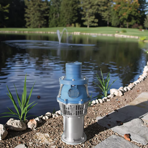 <span class=keywords><strong>Pompe</strong></span> submersible à tête haute 4 pouces 4kw avec grand débit Matériau plastique-acier Haute pression - Product Image 1