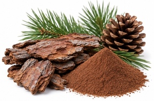 Extracto de Corteza de Pino Marino (<span class=keywords><strong>Pinus</strong></span> Elliottii) en Polvo, Grado Alimenticio - Product Image 3