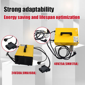 Cargador de Batería de Plomo-Ácido de 12V 24V 36V 48V 60V de Operación Sencilla Resistente a Altas Temperaturas para Automóvil Eléctrico / Montacargas - Product Image 6