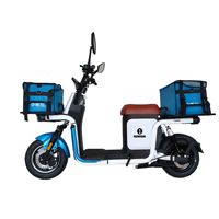 Skuter Listrik Pengantar Barang Anti-Selip Multi-Jalan 2026 Kapasitas 330kg 800W 14 Inci GPS Cerdas 25km/jam Lipat