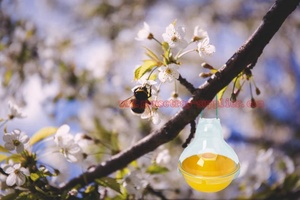ที่ดักแมลงวันพลาสติกแบบแขวนกลางแจ้งในสวนขวดจับผึ้งดักแตน - Product Image 5