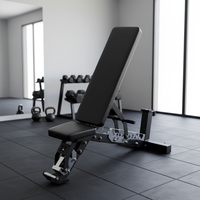Banc de musculation pliable et réglable avec cadre en acier au carbone pour la musculation et l'entraînement physique à domicile et en salle de sport