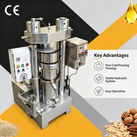 Presse à huile hydraulique, machine d'extraction d'huile, presse à huile d'arachide, de lin, de sésame, de beurre de cacao, de noix de coco, d'avocat, prix de gros