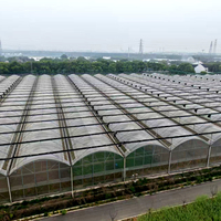 Grande serre multi-voûtes pour l'agriculture avec système d'irrigation, de refroidissement, de ventilation et d'hydroponie