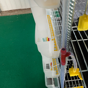 Gabbia <span class=keywords><strong>per</strong></span> <span class=keywords><strong>Quaglie</strong></span> a 6 Livelli Tipo H con Mangiatoia Automatica, Capacità 300-330 <span class=keywords><strong>Quaglie</strong></span> <span class=keywords><strong>per</strong></span> Produzione di Uova - Product Image 6