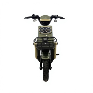 Bicicleta Eléctrica Vintage de 3 Ruedas con Motor Central Linyi, Kit de Batería Extraíble de 48V 20Ah 1000W 1500W para Bicicletas Eléctricas en India - Product Image 1