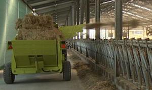Máquina Pulverizadora de Hierba bibo con Caja de Engranajes Planetaria, Pulverizador Agrícola para Campos de Arroz, Equipo de Protección de Cultivos - Product Image 4